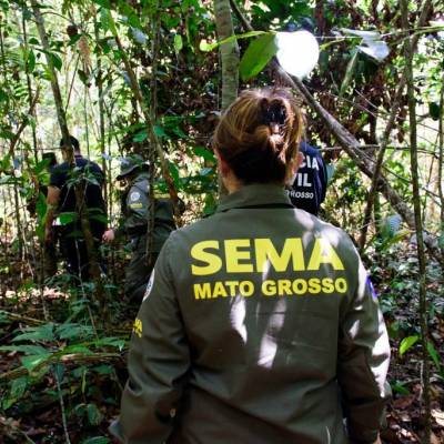 Governo de MT já aplicou R$ 303 milhões em multas por crimes ambientais em 2024 - Notícias - Mato Grosso digital