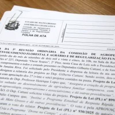 Comissão de Agropecuária aprova projetos de sustentabilidade e cultura - Notícias - Mato Grosso digital