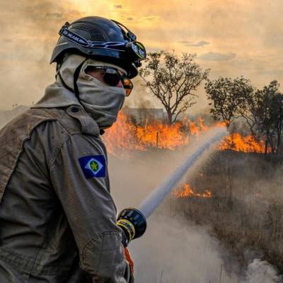 Governo de MT estabelece período proibitivo de uso do fogo com prazos ampliados e diferentes para Amazônia, Cerrado e Pantanal - Notícias - Mato Grosso digital