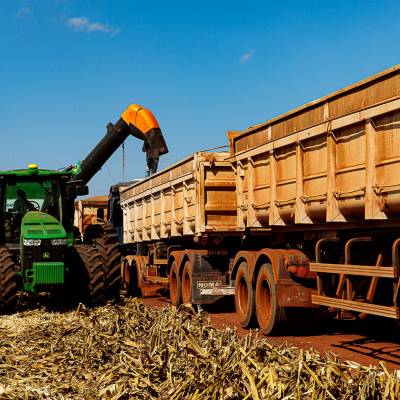 Mato Grosso finaliza colheita da 2ª safra de milho com recorde de produção - Notícias - Mato Grosso digital