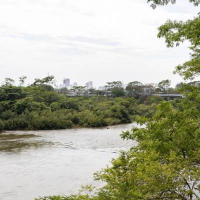 Pescadores profissionais e estabelecimentos comerciais devem declarar estoque pesqueiro até a próxima sexta-feira (03) - Notícias - Mato Grosso digital
