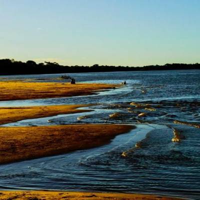 Primeira etapa de programa da Sema irá recuperar 212 hectares de áreas de conservação e parques - Notícias - Mato Grosso digital