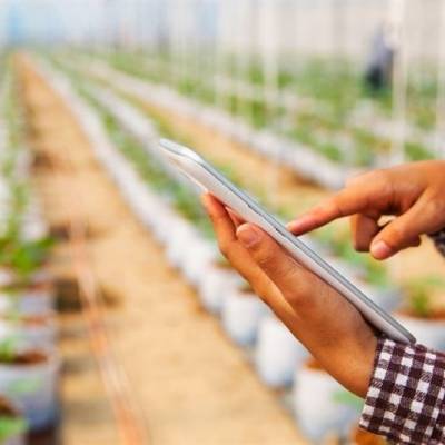 Acordo comercial amplia desafios ao agro - Notícias - Mato Grosso digital