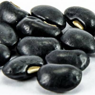 Após meses de valorização, mercado do feijão passa por ajustes - Notícias - Mato Grosso digital