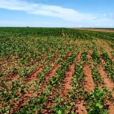 Aprosoja MT visita fazendas e destaca inovação nos EUA - Notícias - Mato Grosso digital
