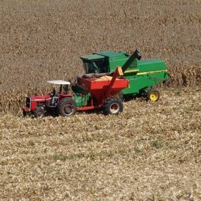 Área plantada com milho cresce, mas valor dos defensivos encolhe na safrinha - Notícias - Mato Grosso digital