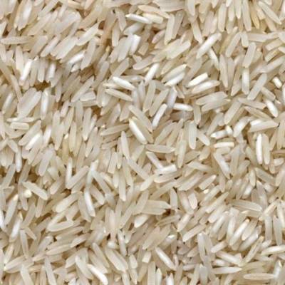 Arroz volta a pressionar produtores no RS - Notícias - Mato Grosso digital