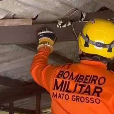 Bombeiros capturam cobra de 2,5 metros em telhado de residência - Notícias - Mato Grosso digital