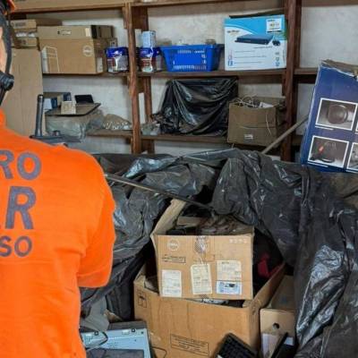 Bombeiros capturam jiboia em almoxarifado de empresa de transportes - Notícias - Mato Grosso digital