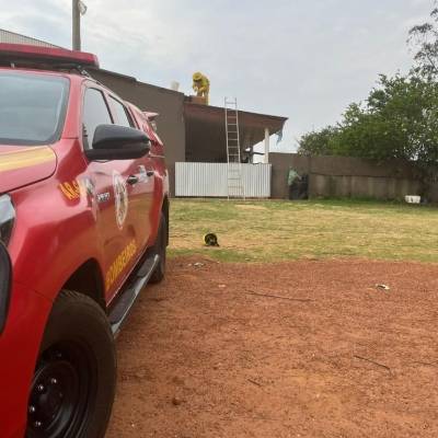 Bombeiros militares removem enxame de abelhas que estava na Apae - Notícias - Mato Grosso digital