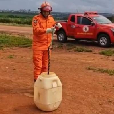 Bombeiros resgatam cobra caninana em empresa de produção agrícola - Notícias - Mato Grosso digital