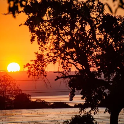Clima: calor e tempo firme marcam a 6ª em parte do país; Norte tem chuvas - Notícias - Mato Grosso digital