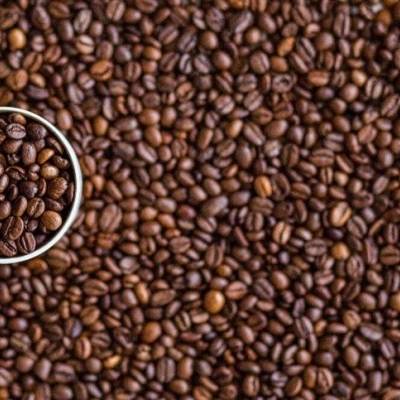 Colheita de café chega a 93% no Cerrado Mineiro - Notícias - Mato Grosso digital