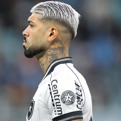 Com Barboza, Botafogo divulga relacionados para duelo com o Internacional - Notícias - Mato Grosso digital