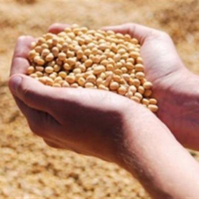 Com oferta apertada e clima irregular, preço da soja sobe no Brasil - Notícias - Mato Grosso digital