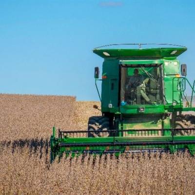 Como produtor fez a soja saltar para 118 sacas por hectare - Notícias - Mato Grosso digital