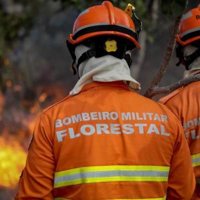 Corpo de Bombeiros combate 13 incêndios florestais nesta sexta-feira (9) - Notícias - Mato Grosso digital