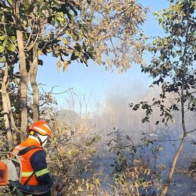 Corpo de Bombeiros extingue incêndio às margens da BR-364 - Notícias - Mato Grosso digital