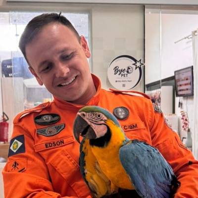 Corpo de Bombeiros resgata arara-canindé em indústria de carne suína - Notícias - Mato Grosso digital