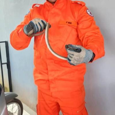 Corpo de Bombeiros resgata cobra cipó em residência de Guarantã do Norte - Notícias - Mato Grosso digital