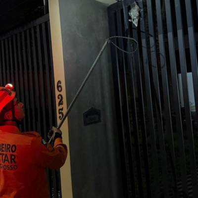 Corpo de Bombeiros resgata gambá e arara-canindé em diferentes municípios - Notícias - Mato Grosso digital