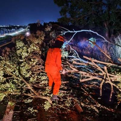 Corpo de Bombeiros retira galhos de árvore que caíram em rodovia - Notícias - Mato Grosso digital