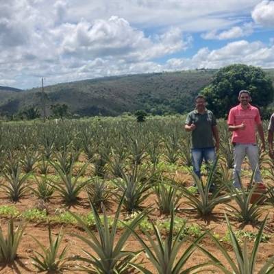 Correção do solo: silicato alcança mais de 60 culturas em MG - Notícias - Mato Grosso digital