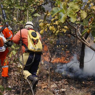 Cuiabá registra queda nos incêndios em vegetação entre janeiro e agosto - Notícias - Mato Grosso digital