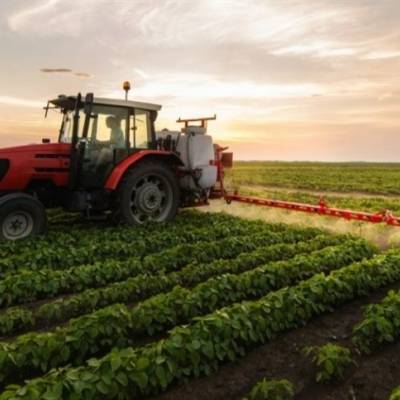 Dia do Agronegócio: setor avança, mas enfrenta desafios com preços e clima - Notícias - Mato Grosso digital