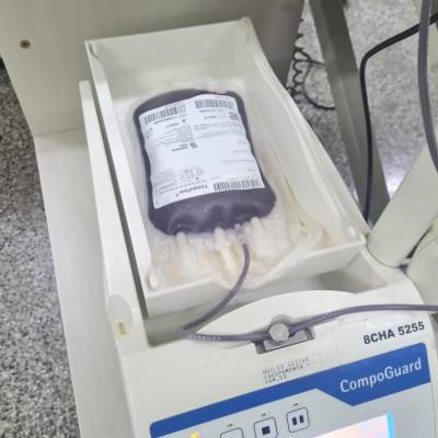 Doador de sangue do MT Hemocentro garante inscrição na Corrida de Reis - Notícias - Mato Grosso digital