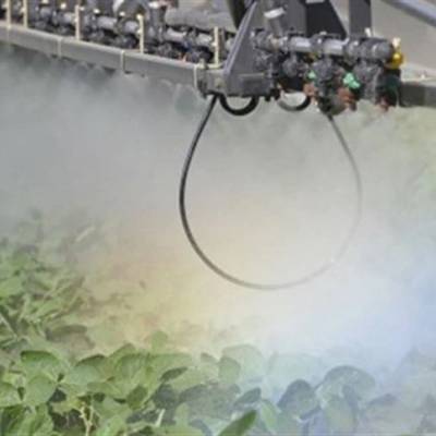 Empresa prepara mais de 40 novos registros para o agro - Notícias - Mato Grosso digital