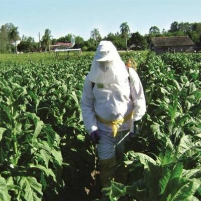 EPI’s agrícolas ganham avanços tecnológicos - Notícias - Mato Grosso digital