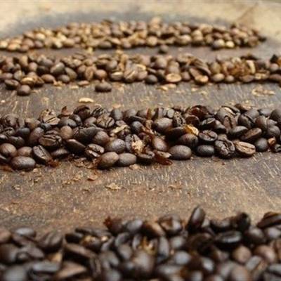 Exportações de café batem recorde e somam US$ 11,09 bilhões - Notícias - Mato Grosso digital