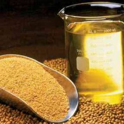 Exportações de farelo crescem levemente em 2025 - Notícias - Mato Grosso digital