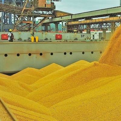 Exportações do agro renovam recordes e ampliam superávit - Notícias - Mato Grosso digital