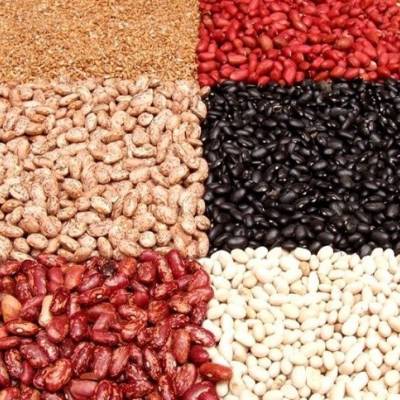 Feijão alcança preços recordes com oferta restrita - Notícias - Mato Grosso digital