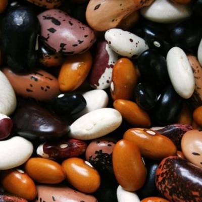 Feijão entra em 2026 com estoques críticos e preços firmes - Notícias - Mato Grosso digital