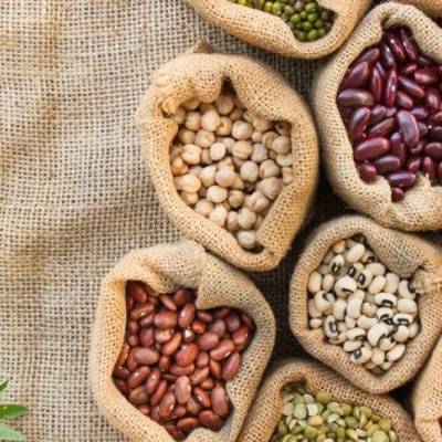 Feijão se recupera, mas perdas ainda limitam produtividade - Notícias - Mato Grosso digital