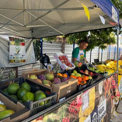 Feiras impulsionam renda e fortalecem agricultura familiar em MT - Notícias - Mato Grosso digital