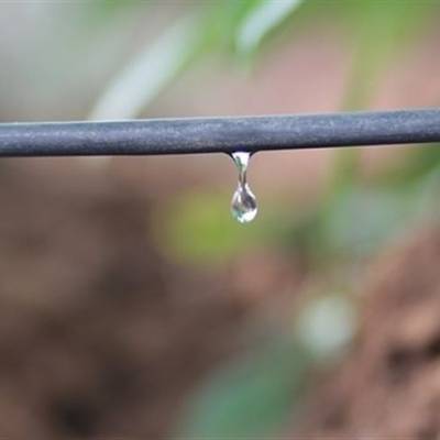 Gotejamento fortalece eficiência e estabilidade no campo - Notícias - Mato Grosso digital