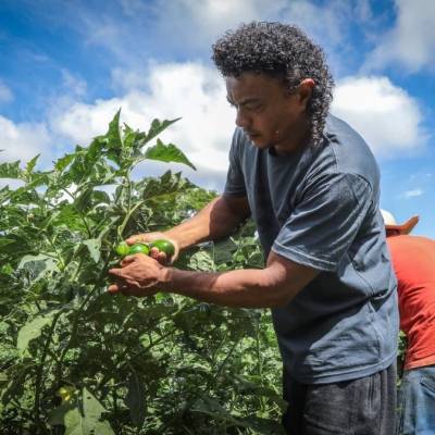 Governo fortalece pequenos agricultores e incentiva produção no campo - Notícias - Mato Grosso digital