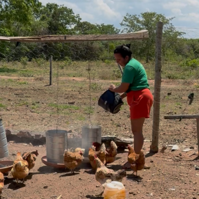 Investimento de R$ 1 bilhão impulsiona a agricultura familiar em Mato Grosso - Notícias - Mato Grosso digital