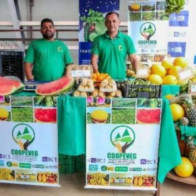 Lei reconhece feiras livres como patrimônio cultural de Mato Grosso - Notícias - Mato Grosso digital