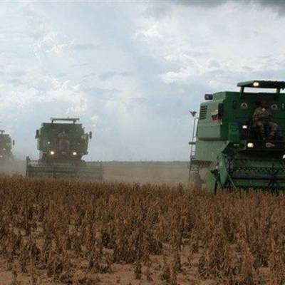 Mato Grosso colhe quase 25% da soja e abre espaço para plantio da safrinha - Notícias - Mato Grosso digital