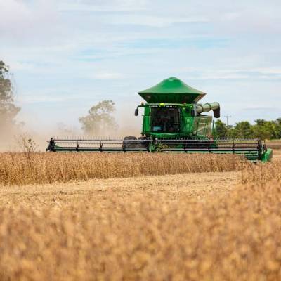 Mato Grosso consolida protagonismo na produção mundial de grãos e fibras - Notícias - Mato Grosso digital