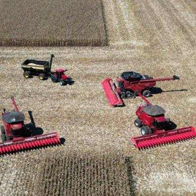 Mato Grosso dá início à colheita da segunda safra nacional de milho - Notícias - Mato Grosso digital