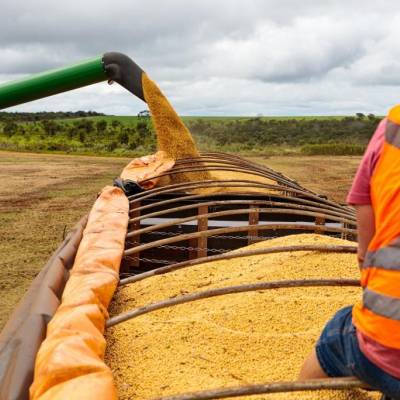 Mato Grosso fecha 2025 como o 4º maior exportador brasileiro - Notícias - Mato Grosso digital