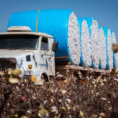 Mato Grosso lidera a balança comercial brasileira em 2025 - Notícias - Mato Grosso digital