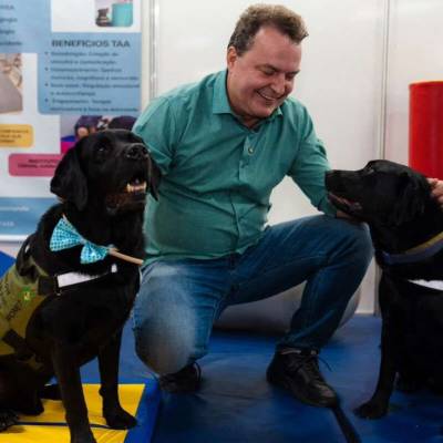 Max propõe criação de censo para mapear população de cães e gatos em MT - Notícias - Mato Grosso digital