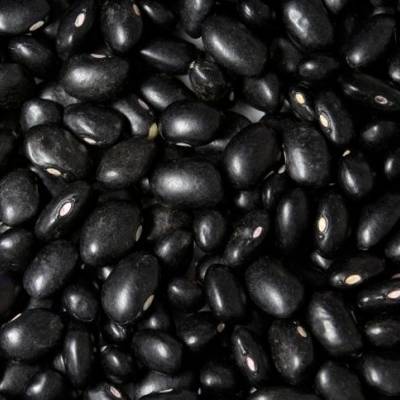 Mercado de feijão mantém firmeza apesar de poucos negócios - Notícias - Mato Grosso digital